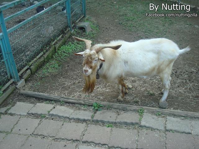 DSC03980.JPG